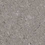 Shell Grey Vitrified Tiles